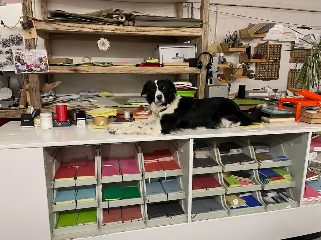 The French Museum, Patreksfjörður