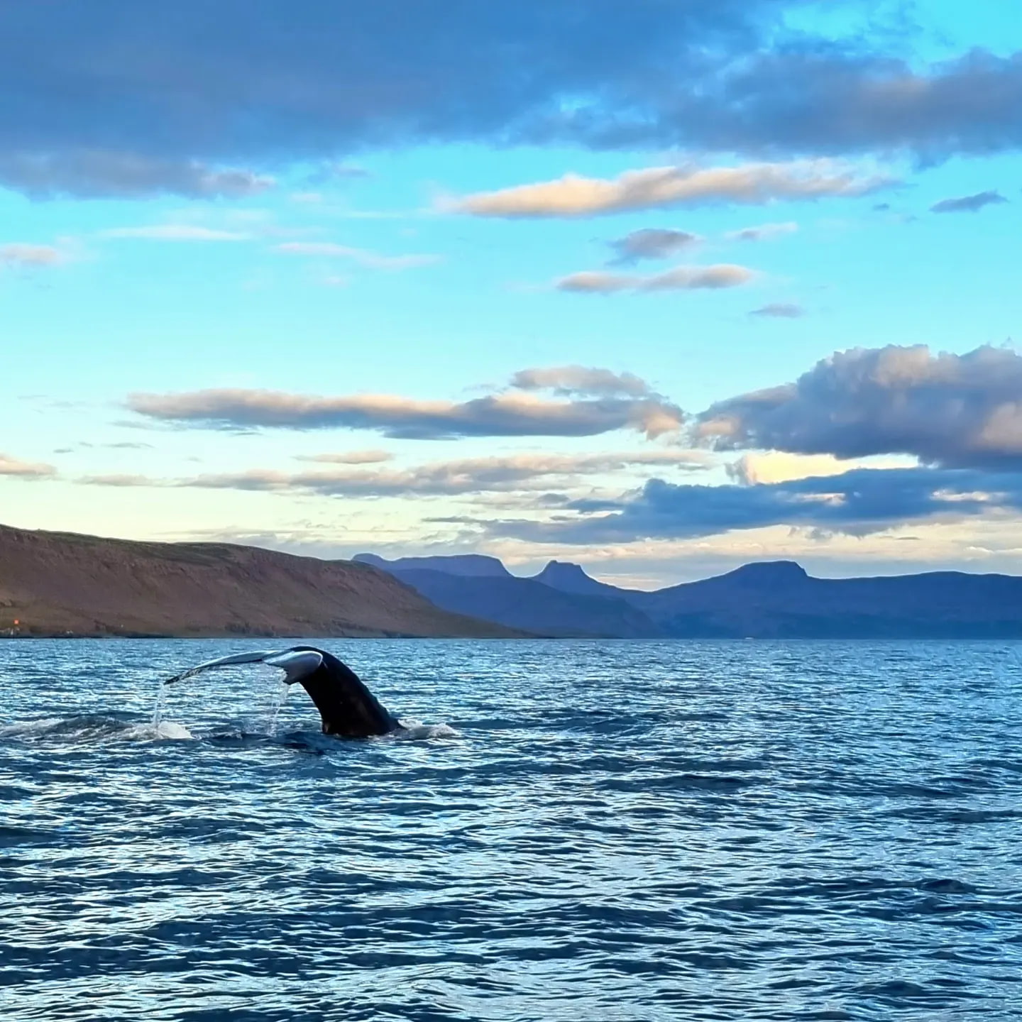 Westfjords <img src=